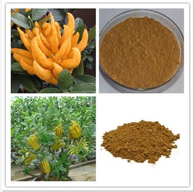 天然香料新篇章 西安蛹虫草粉与提取物的卓越应用