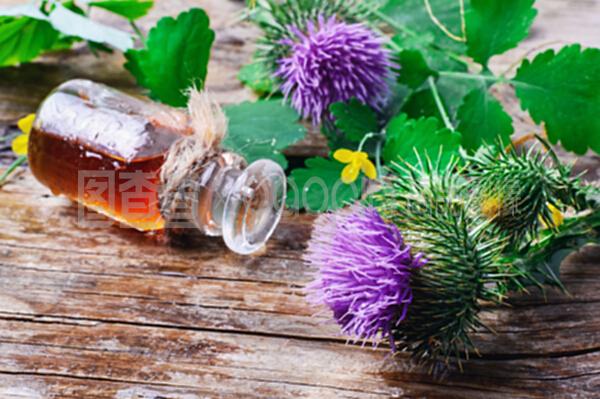 花卉与牛羚提取物 自然馈赠的植物精华及其应用探析