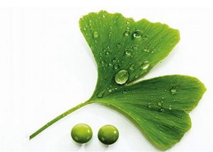 天然健康 驱动植物提取物行业发展的核心动力