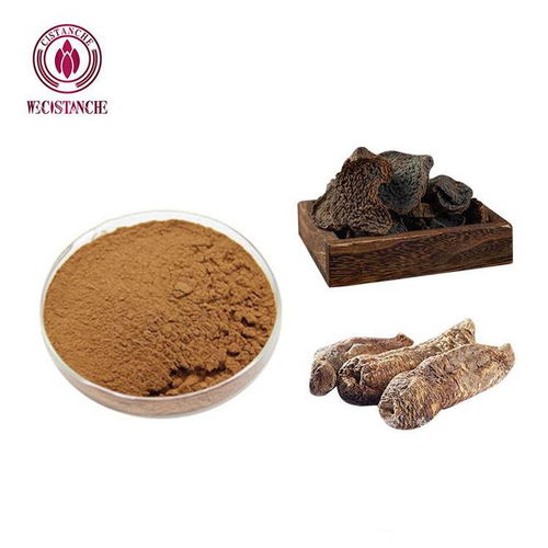 肉苁蓉提取物与切片饮片 核心区别与科学使用指南