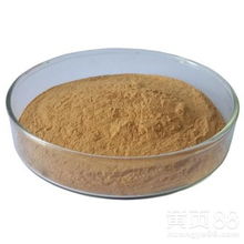 天然香料新宠 苍耳子提取物的市场魅力与热销解析