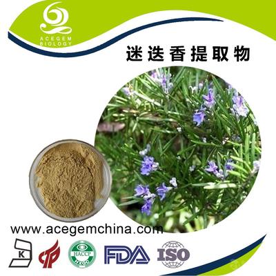专业迷迭香提取物 中国芜湖艾森格，天然香料的卓越之选