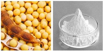 植物甾醇 大豆提取物的健康益处与应用前景